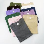 High Quality 100% Cotton T-shirt Comfortable Crew Neck Design With Custom Logo Multicolor Options Wholesale Plain Blank T-shirt